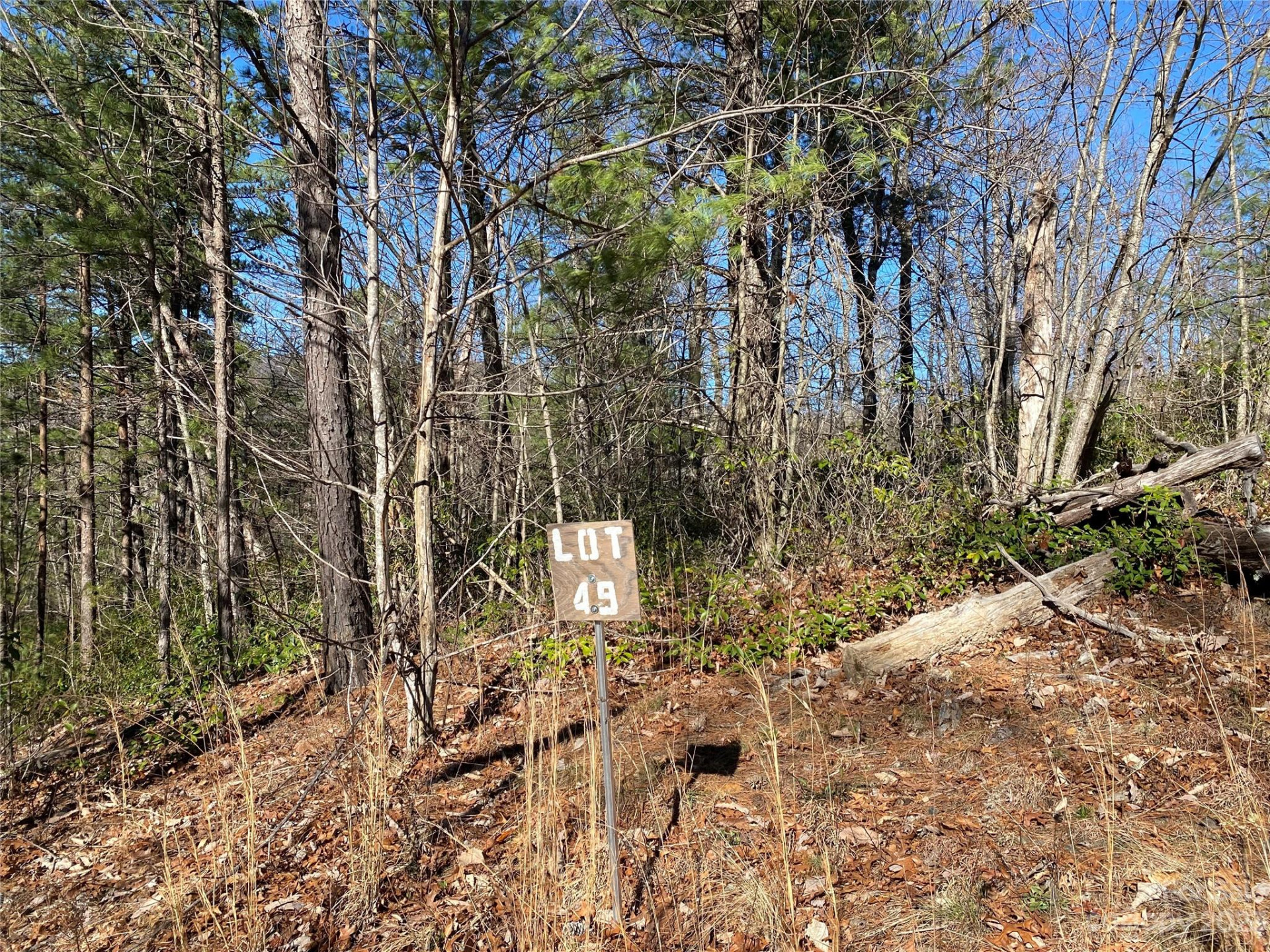 Lot 49 Sunrise Path - Photo 15