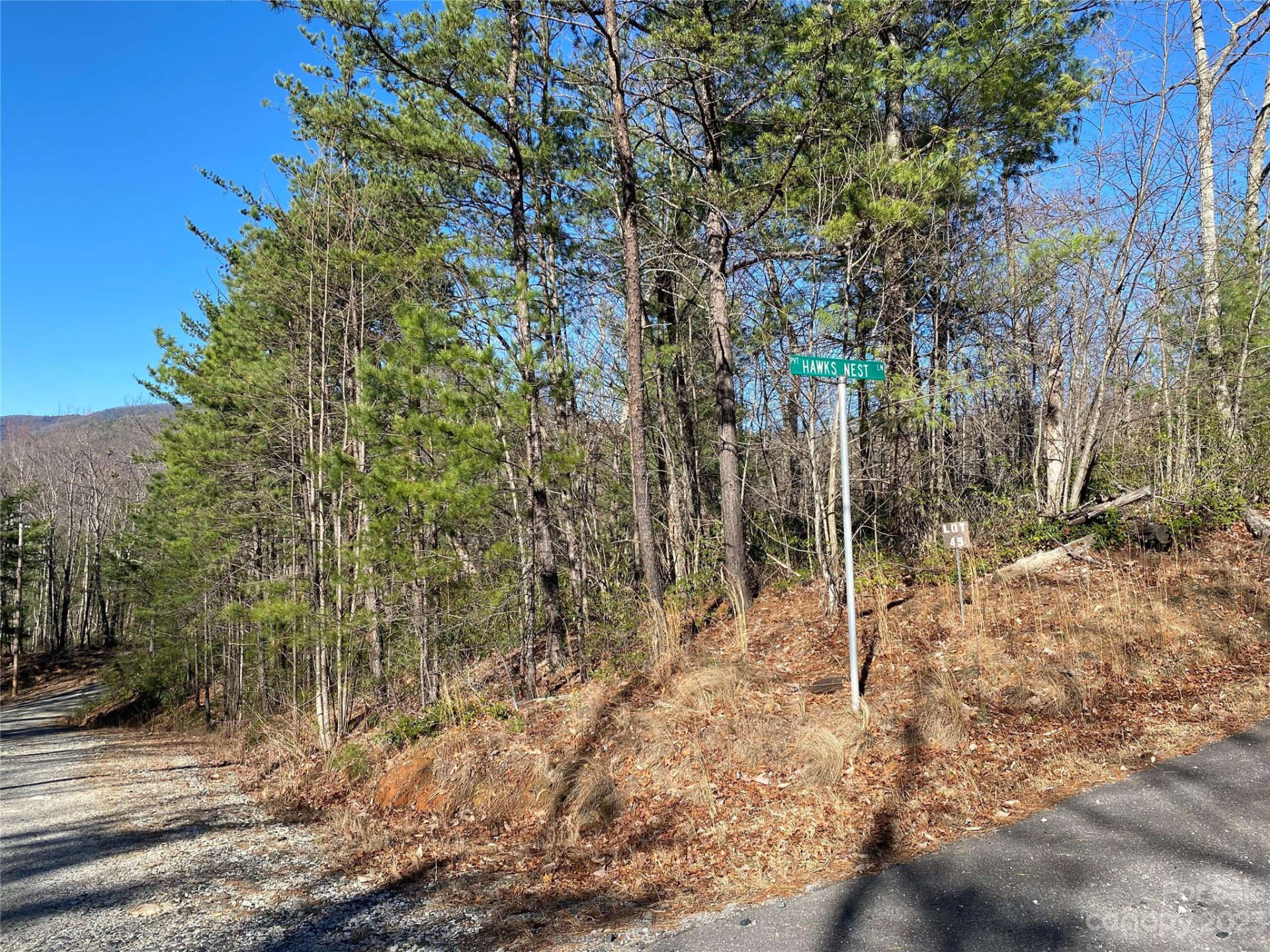 Lot 49 Sunrise Path - Photo 6