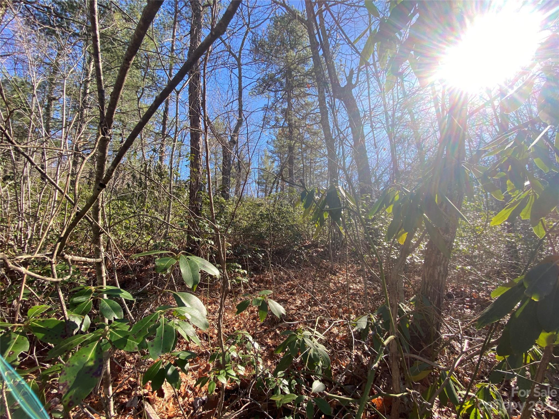 Lot 49 Sunrise Path - Photo 7