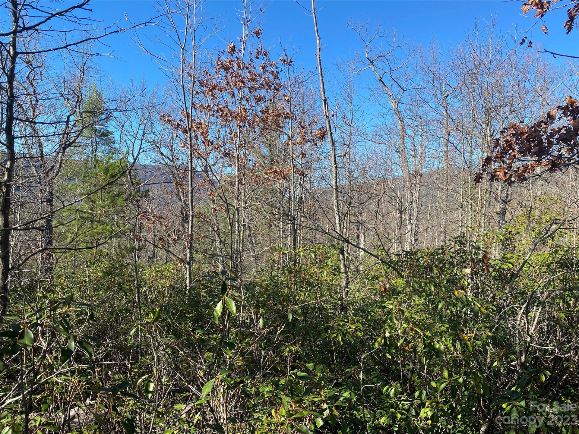 Lot 49 Sunrise Path - Photo 8