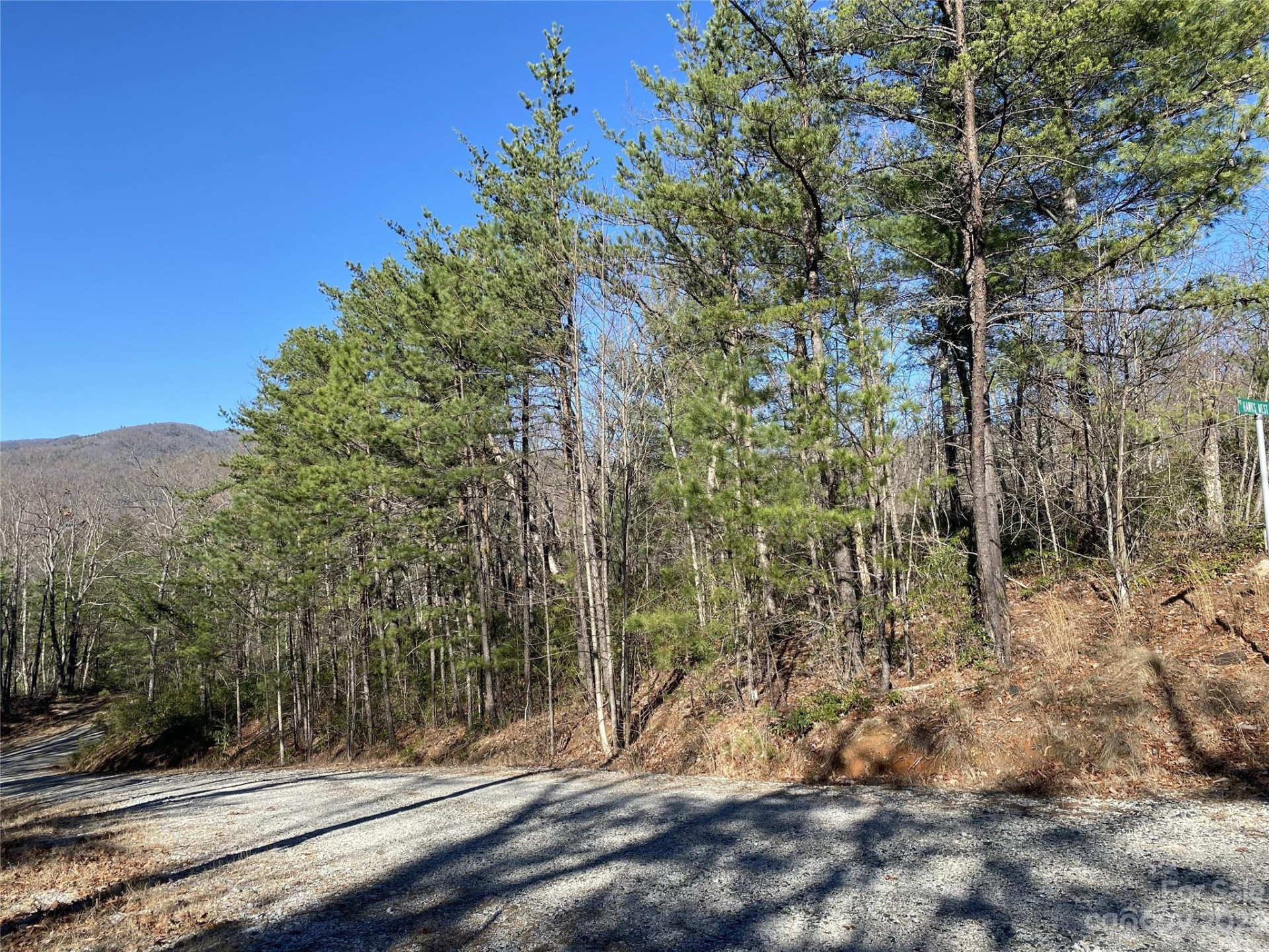 Lot 49 Sunrise Path - Photo 10