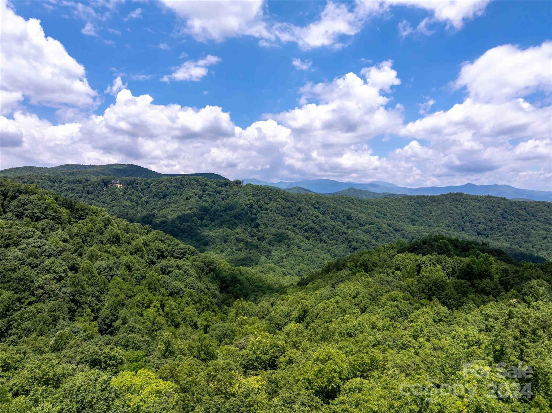 561 Haven Drive #T-52 - Photo 8