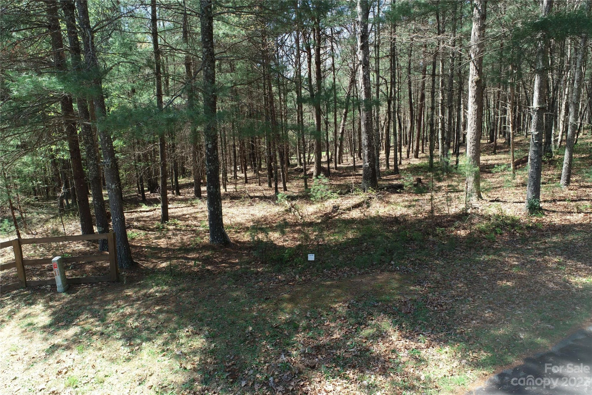 1301 Scenic Vista Drive