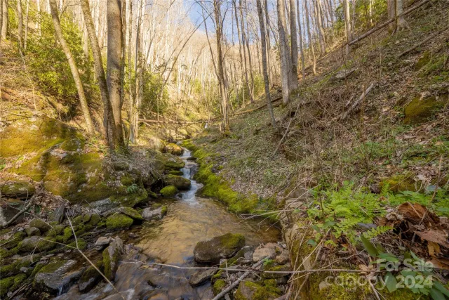00 Buff Creek Road