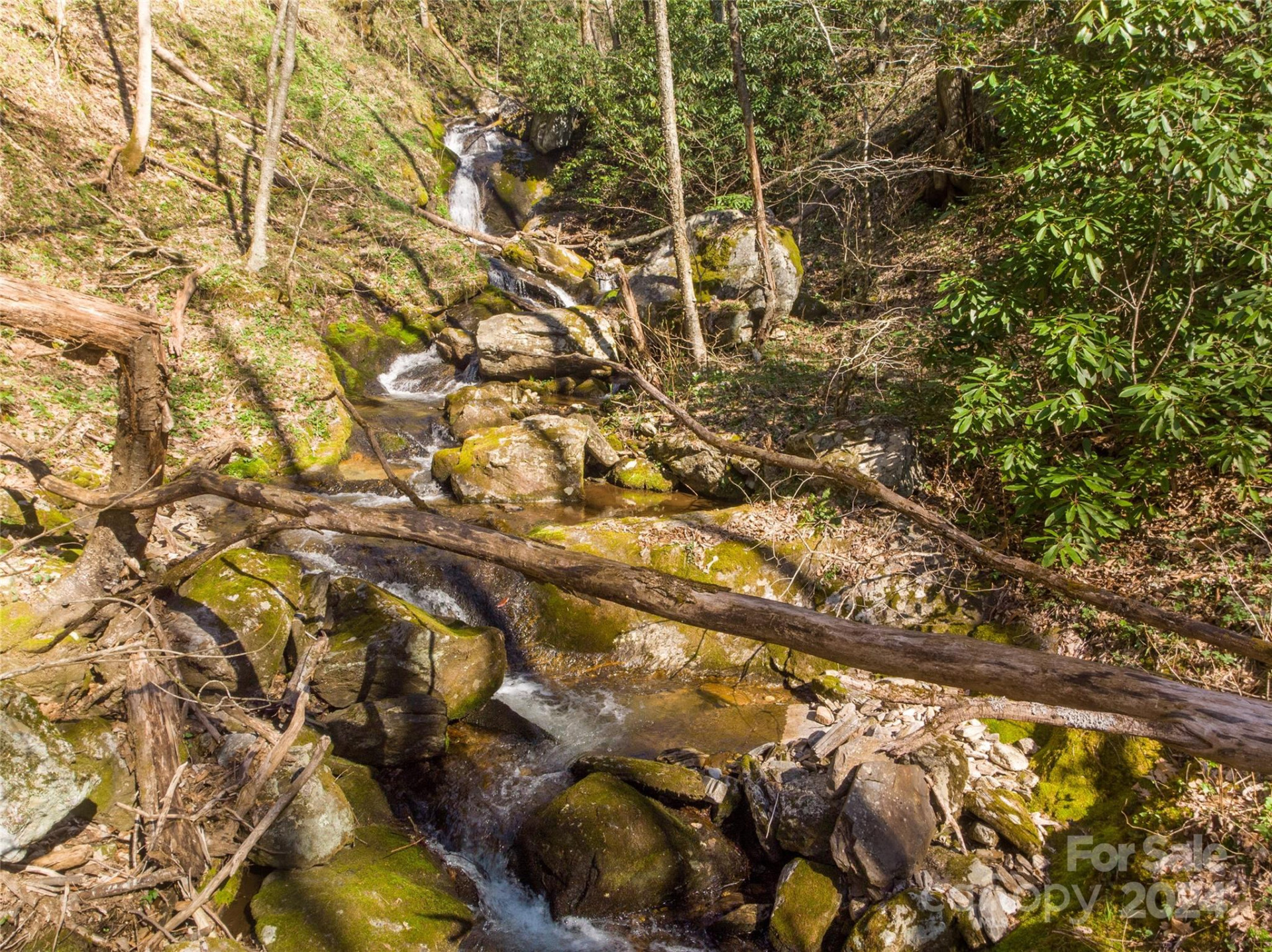 00 Buff Creek Road - Photo 11