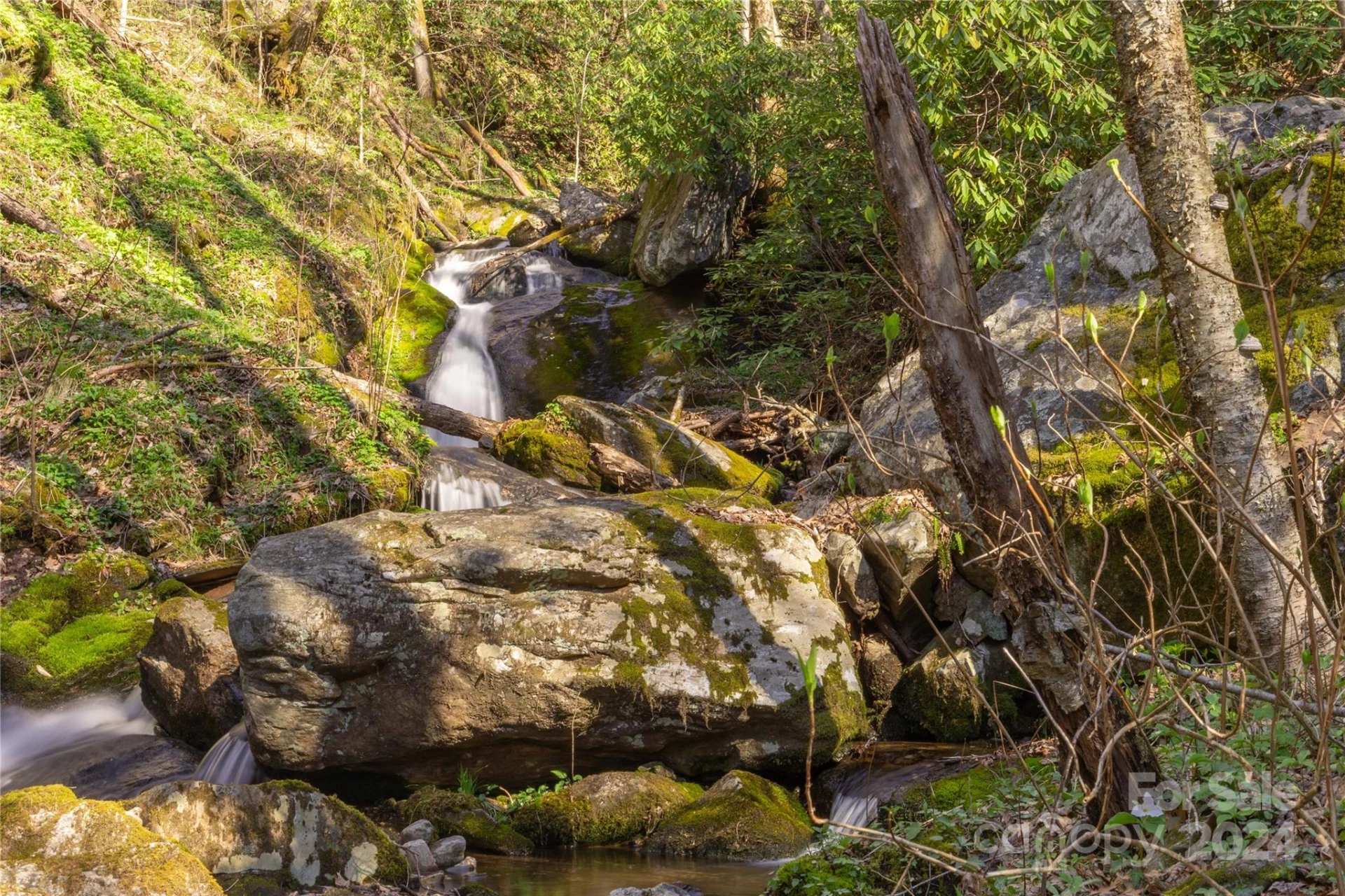 00 Buff Creek Road - Photo 12