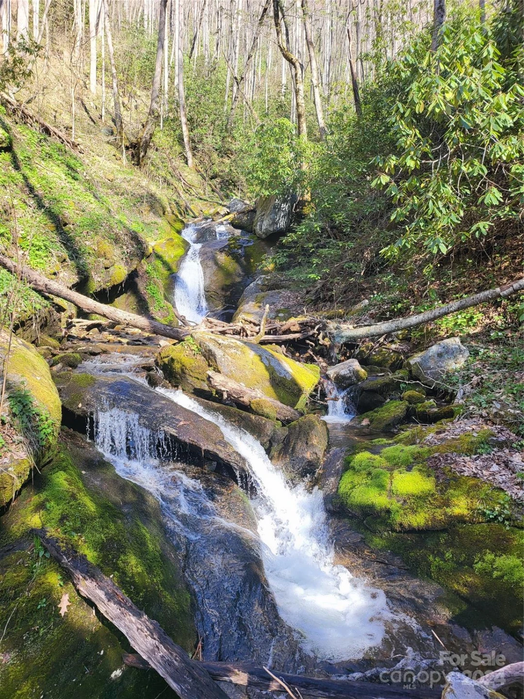 00 Buff Creek Road - Photo 16