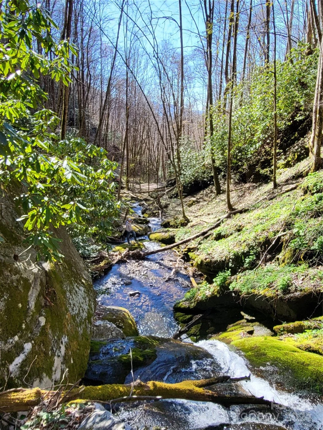 00 Buff Creek Road - Photo 17