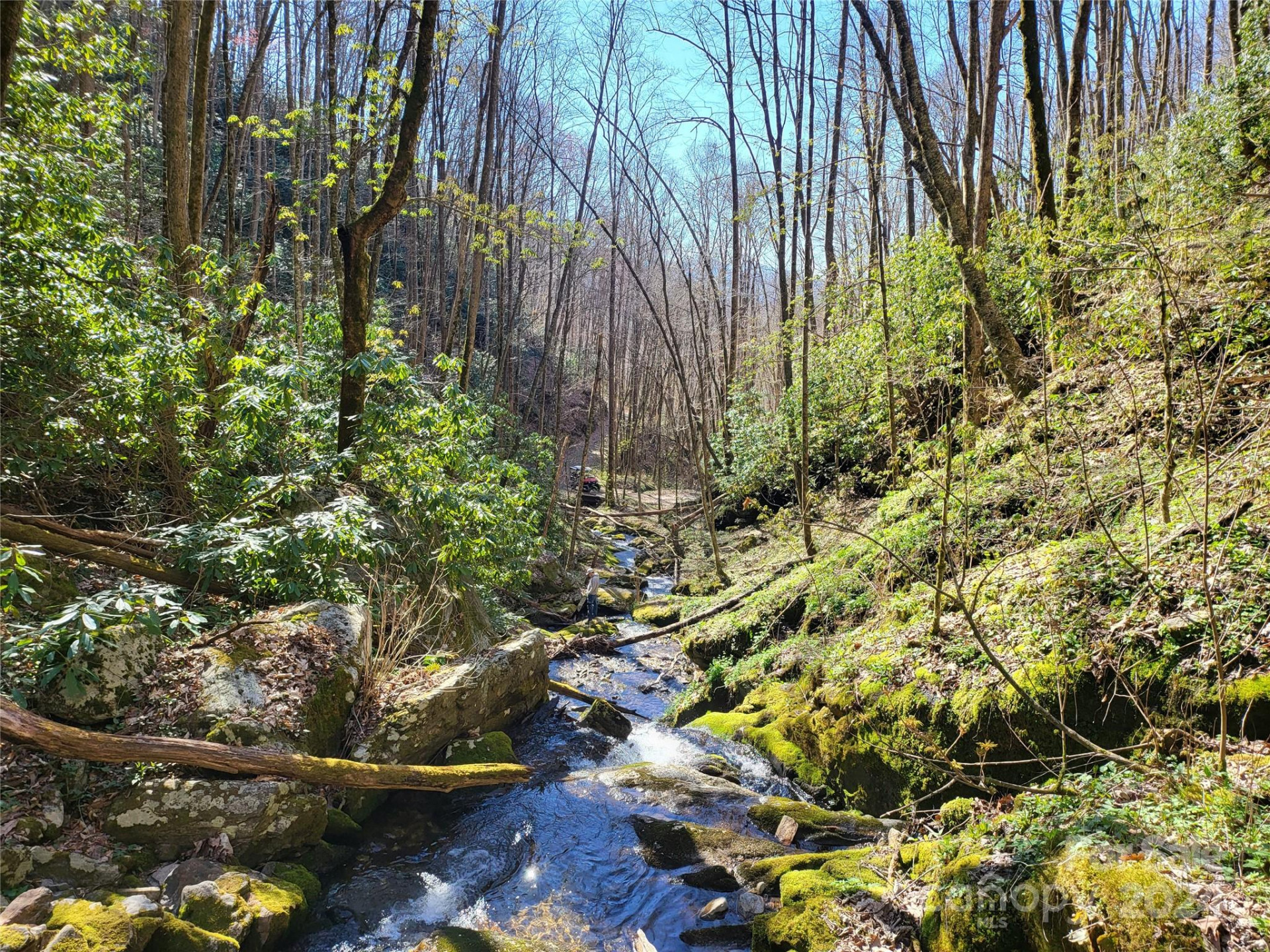 00 Buff Creek Road - Photo 19