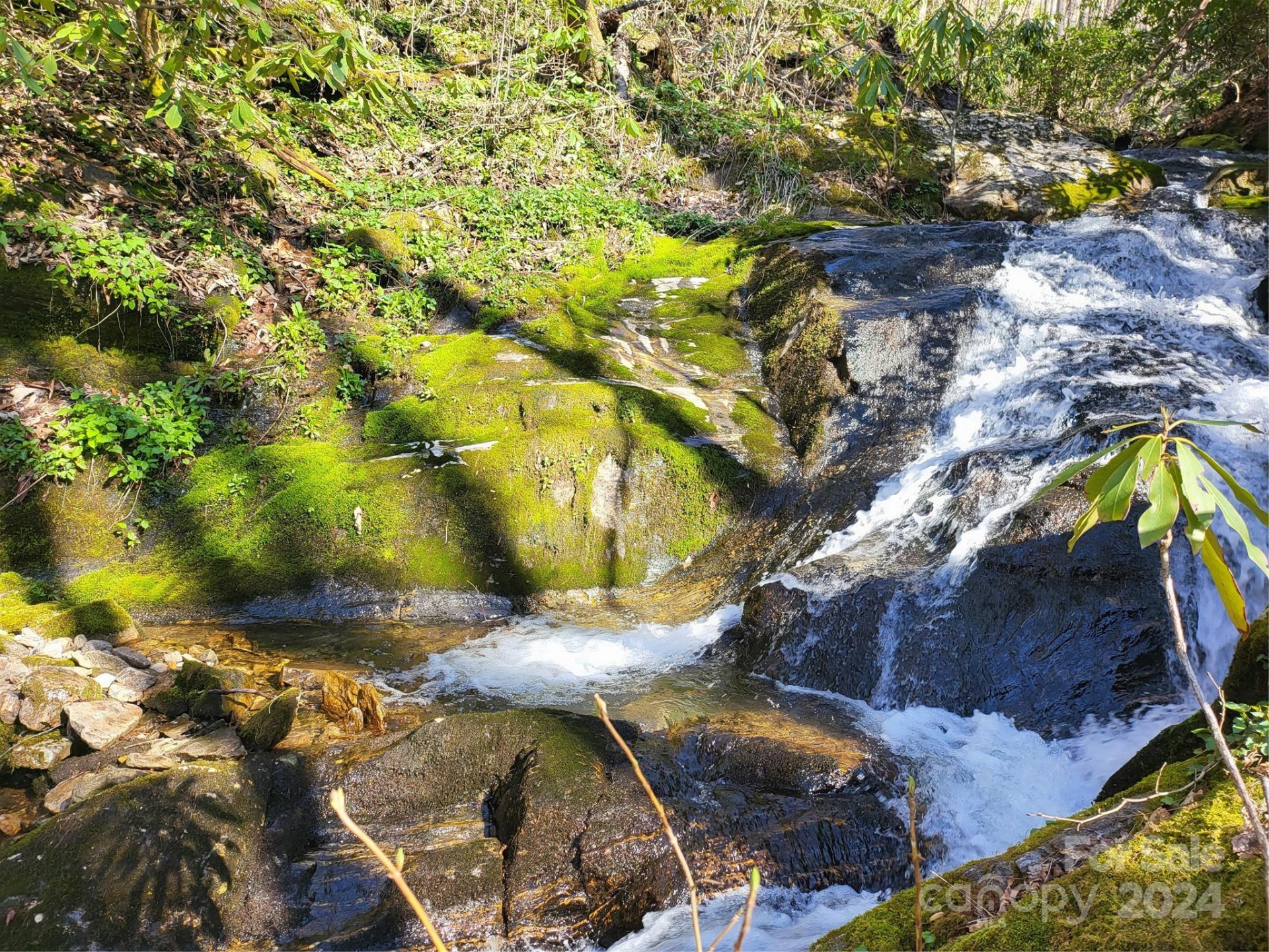 00 Buff Creek Road - Photo 20