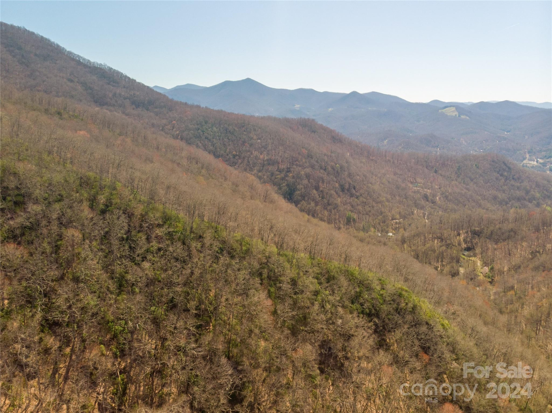 00 Buff Creek Road - Photo 5