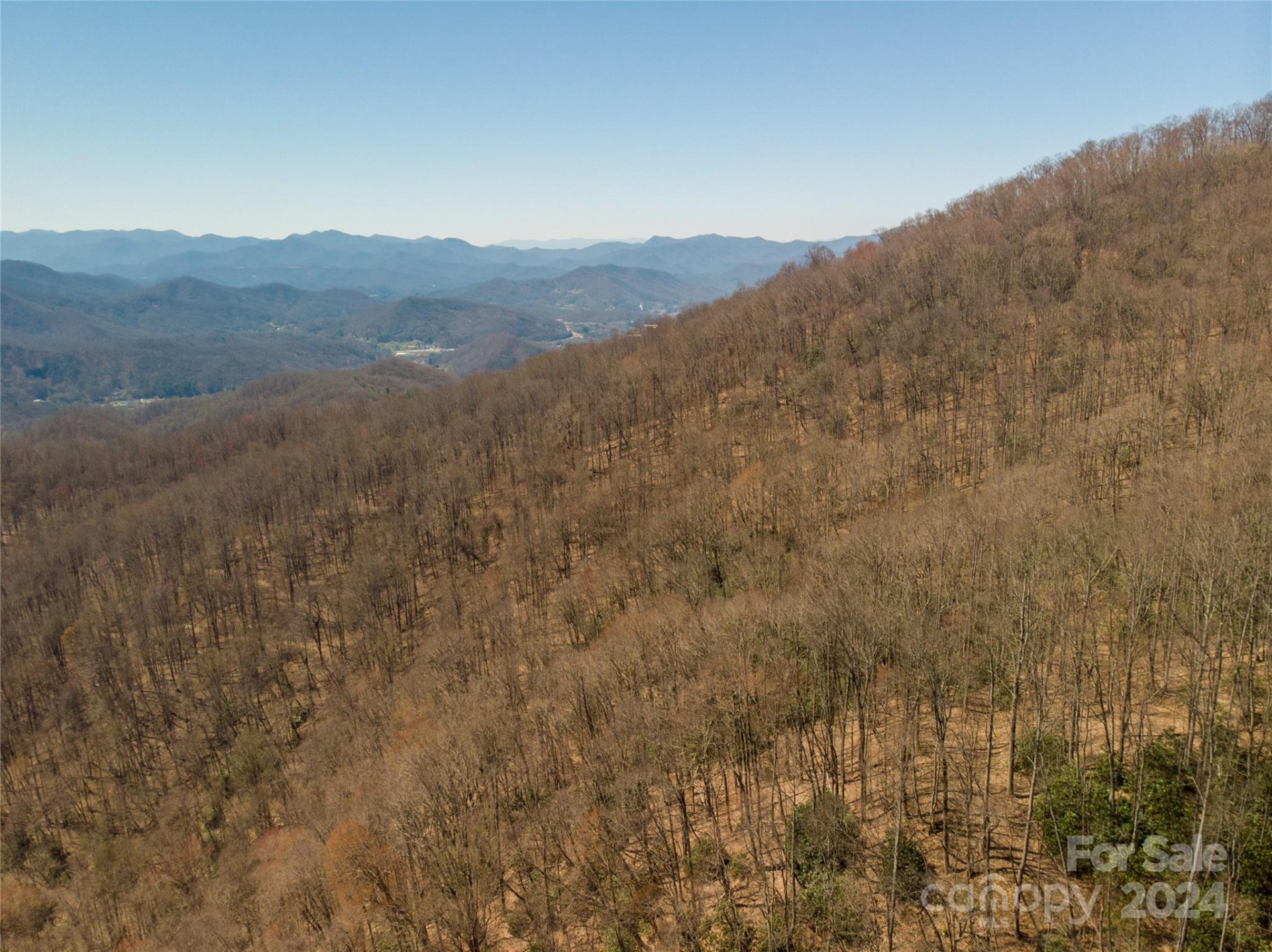 00 Buff Creek Road - Photo 7