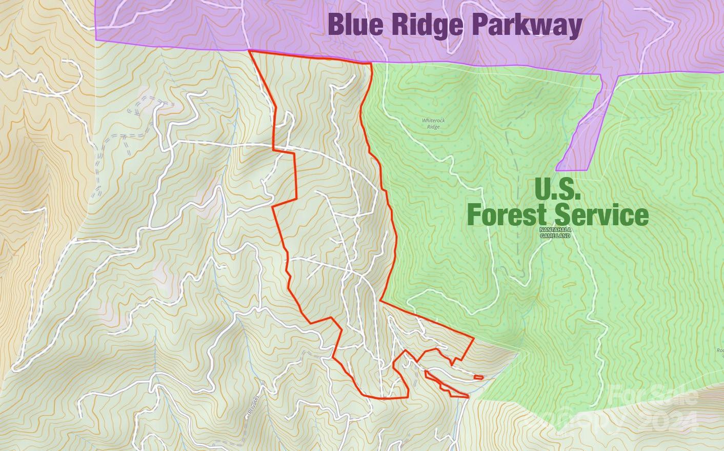 00 Buff Creek Road - Photo 8