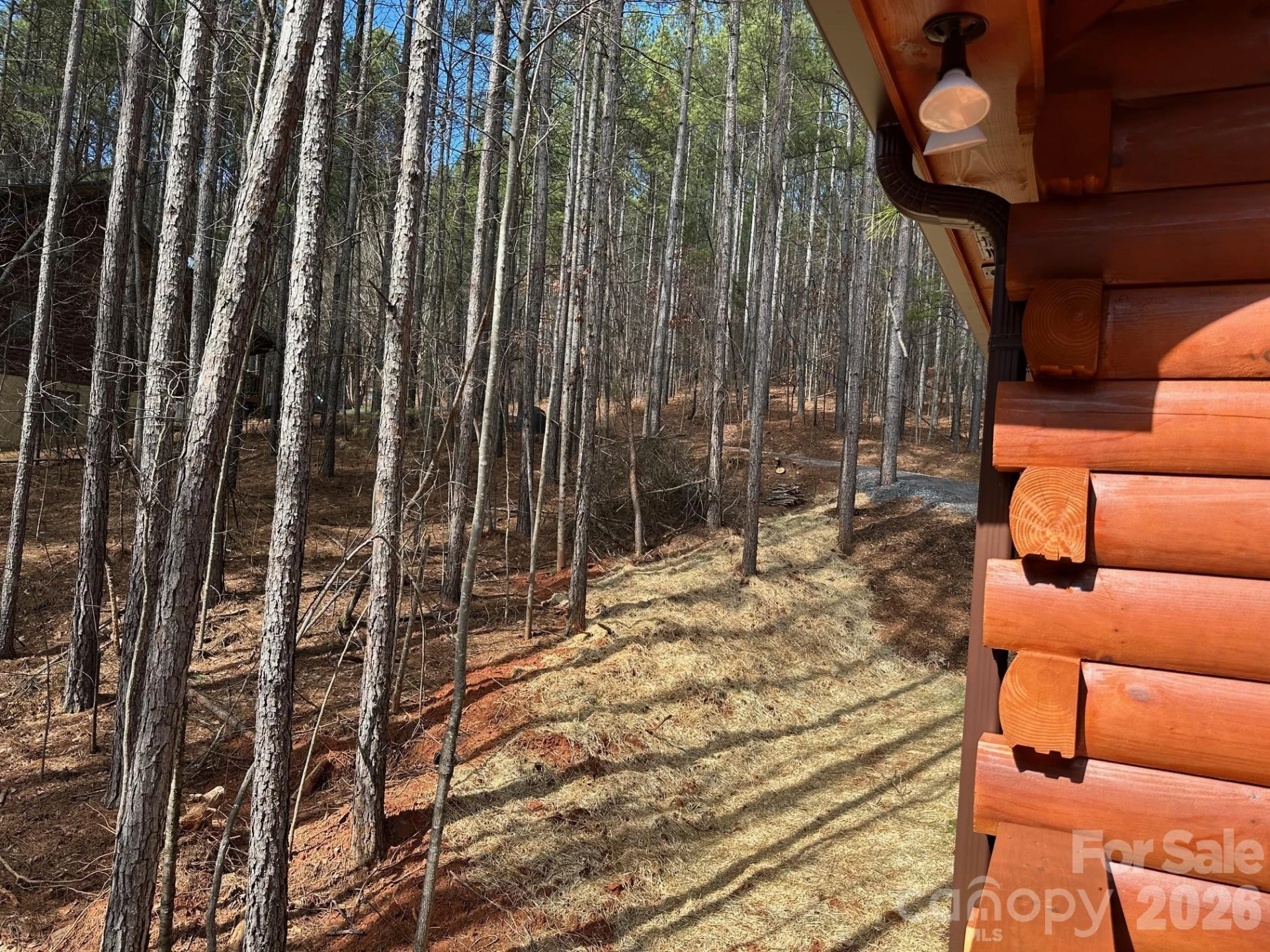132 Chasewood Drive - Photo 31