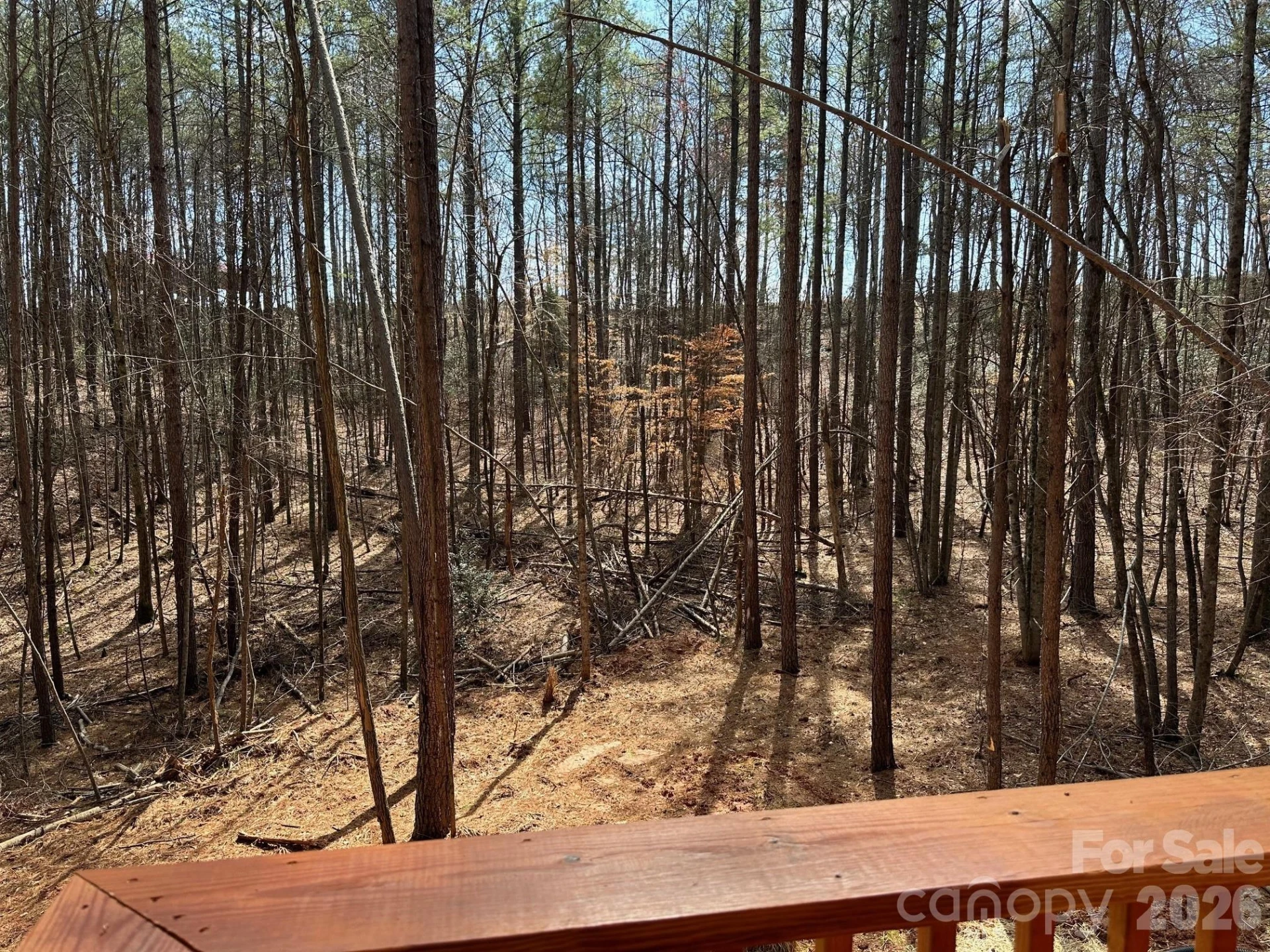 132 Chasewood Drive - Photo 33