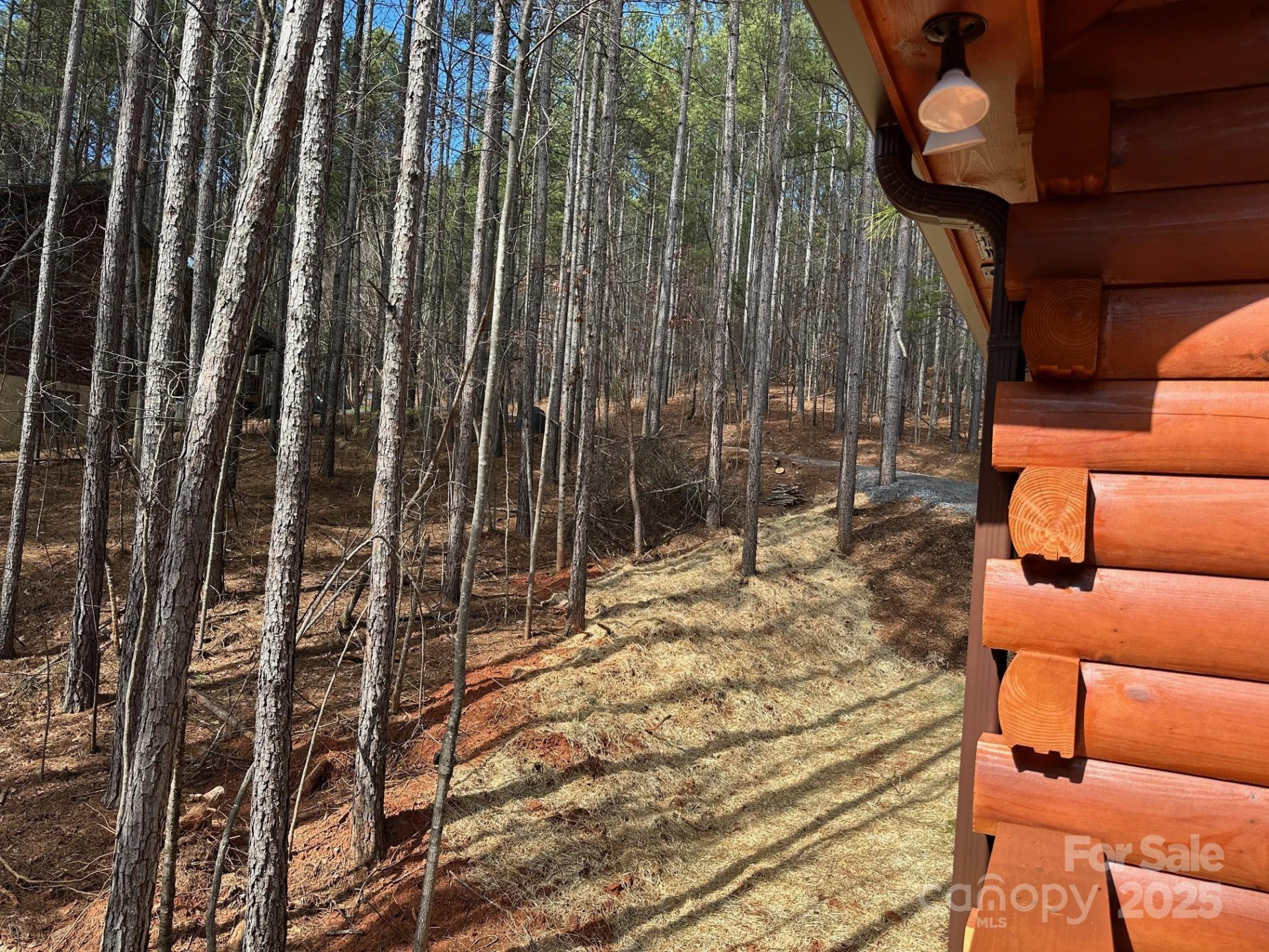 132 Chasewood Drive - Photo 36