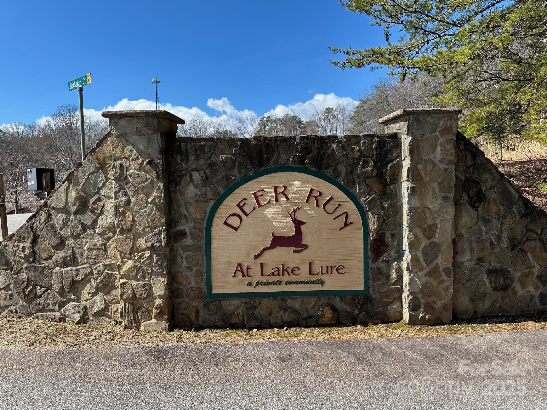 132 Chasewood Drive - Photo 9