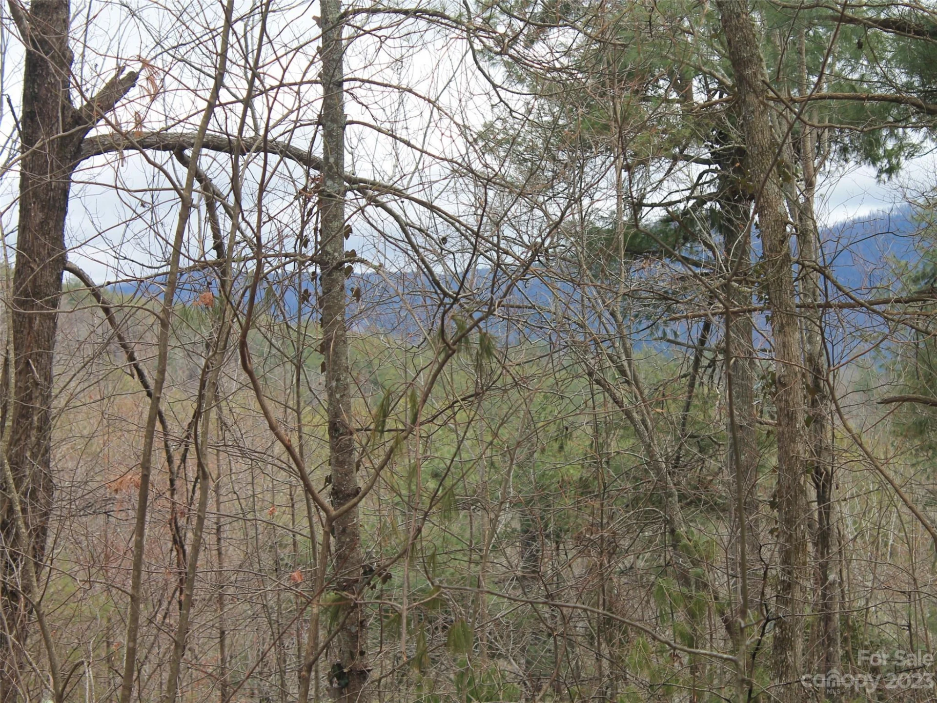 0000 Wildlife Trail #.84 ACRES
