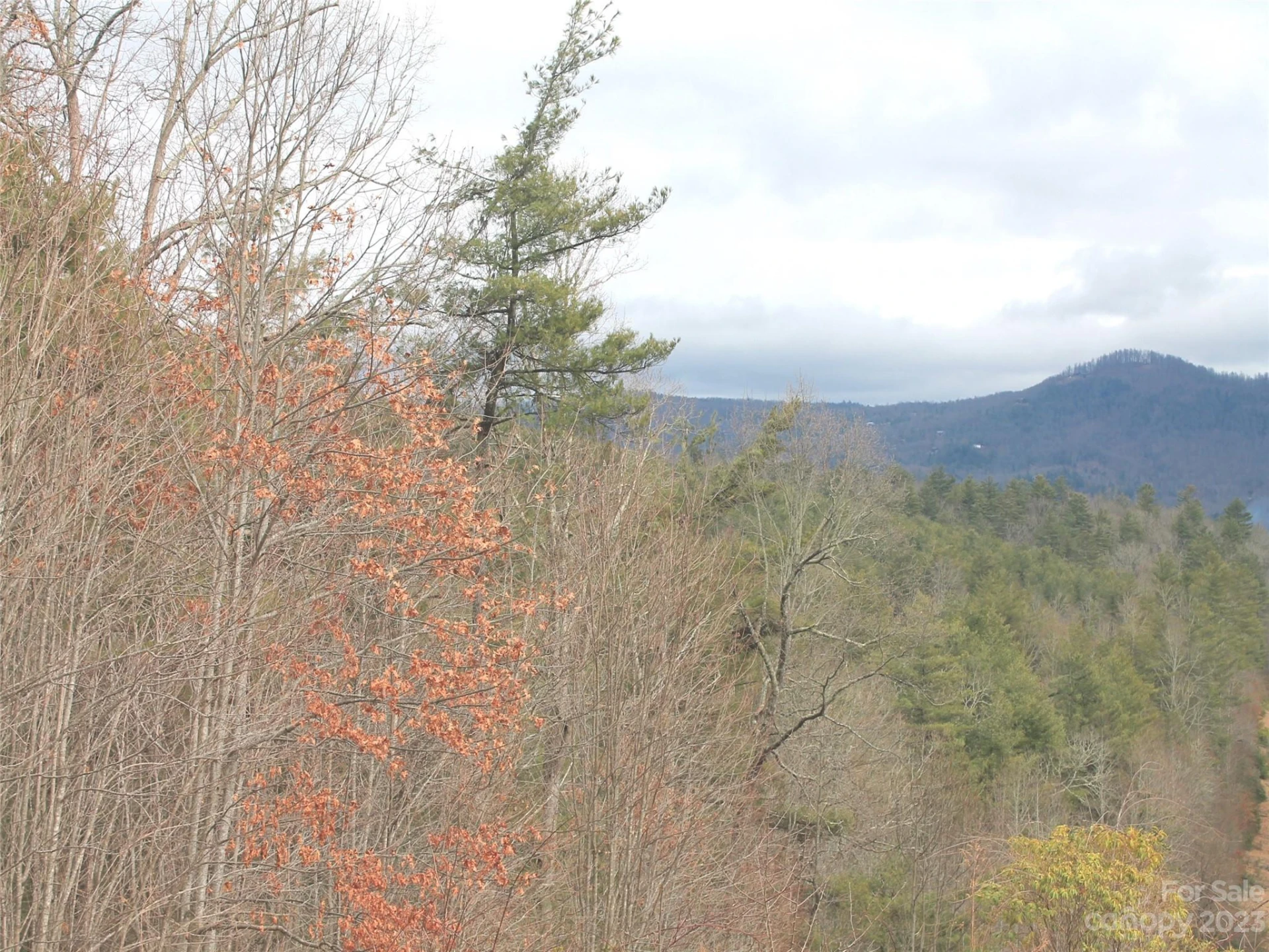 0000 Wildlife Trail #.84 ACRES - Photo 3