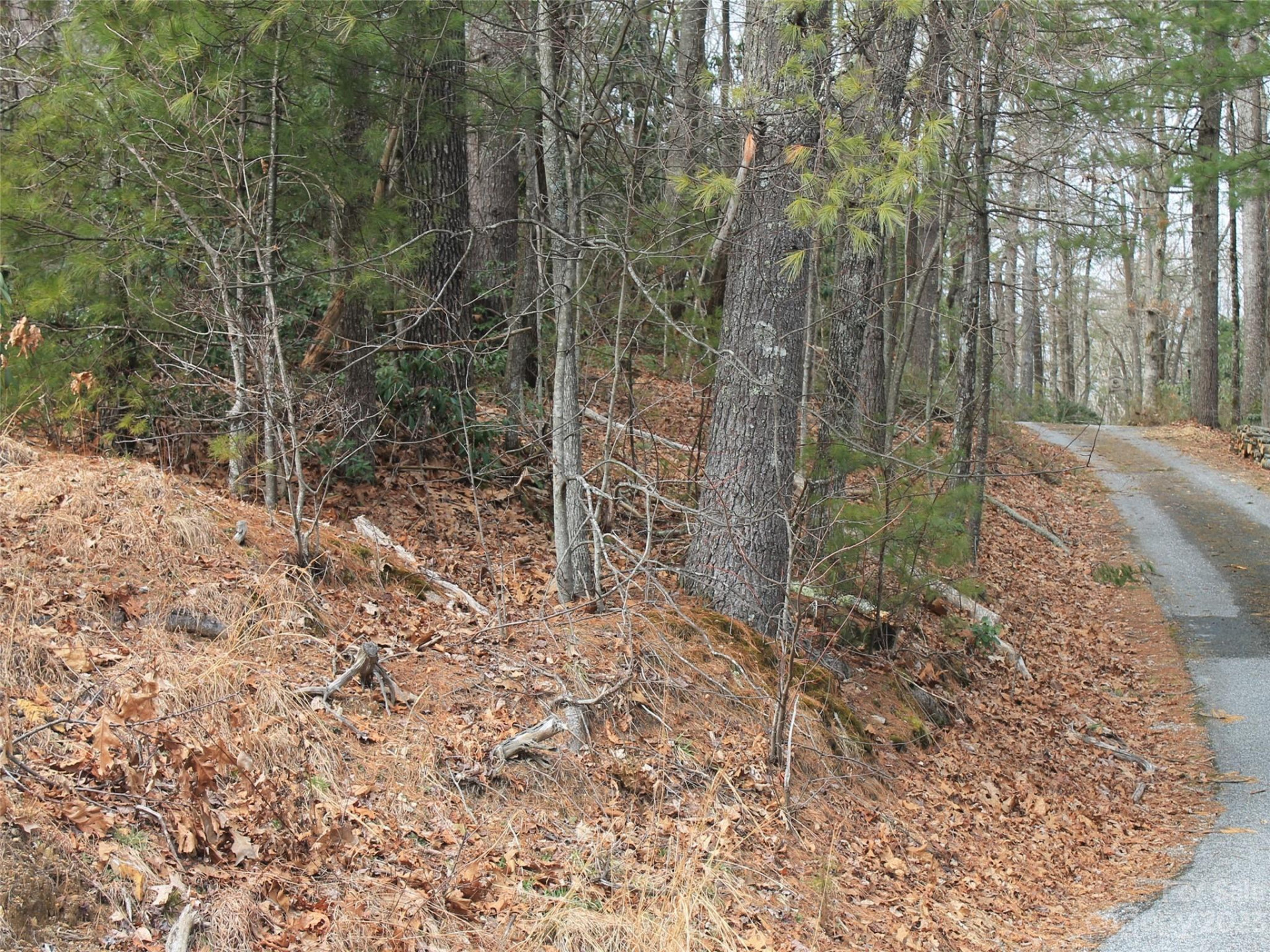 0000 Wildlife Trail #.84 ACRES - Photo 4