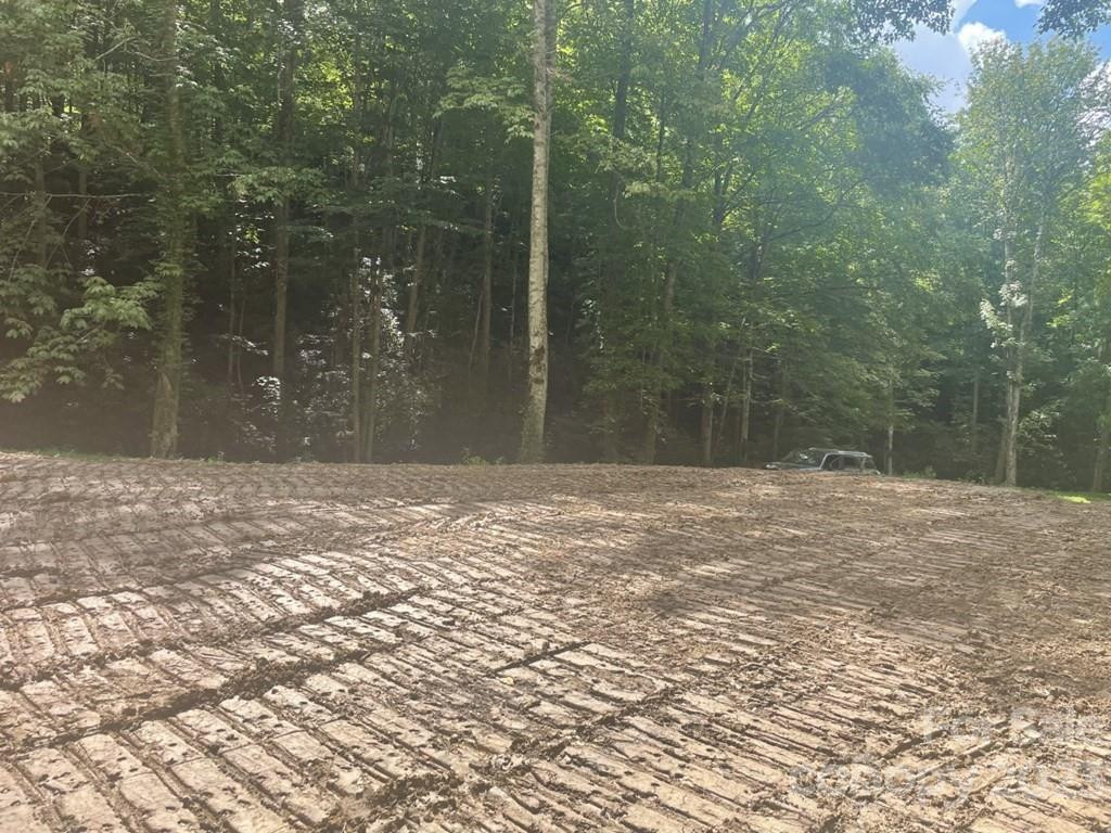 Lot 17/18 Long Creek Lane #17/18 - Photo 2