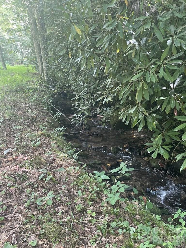 Lot 17/18 Long Creek Lane #17/18 - Photo 3