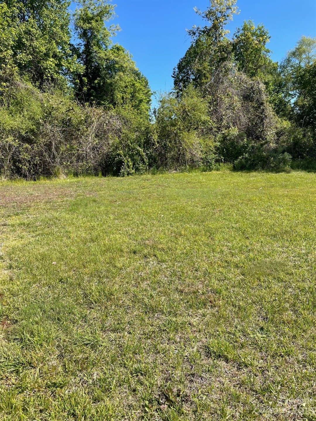 123 Francis Road - Photo 13