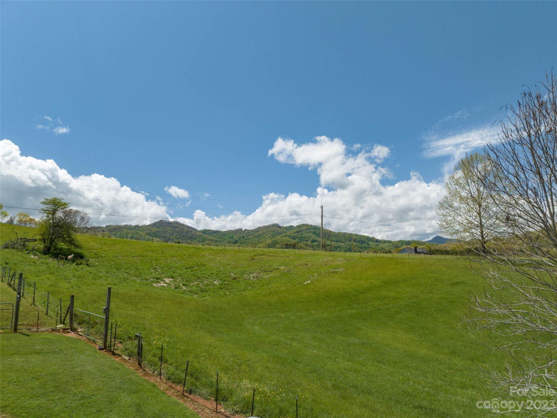 #4 Sunny Hill Lane - Photo 2