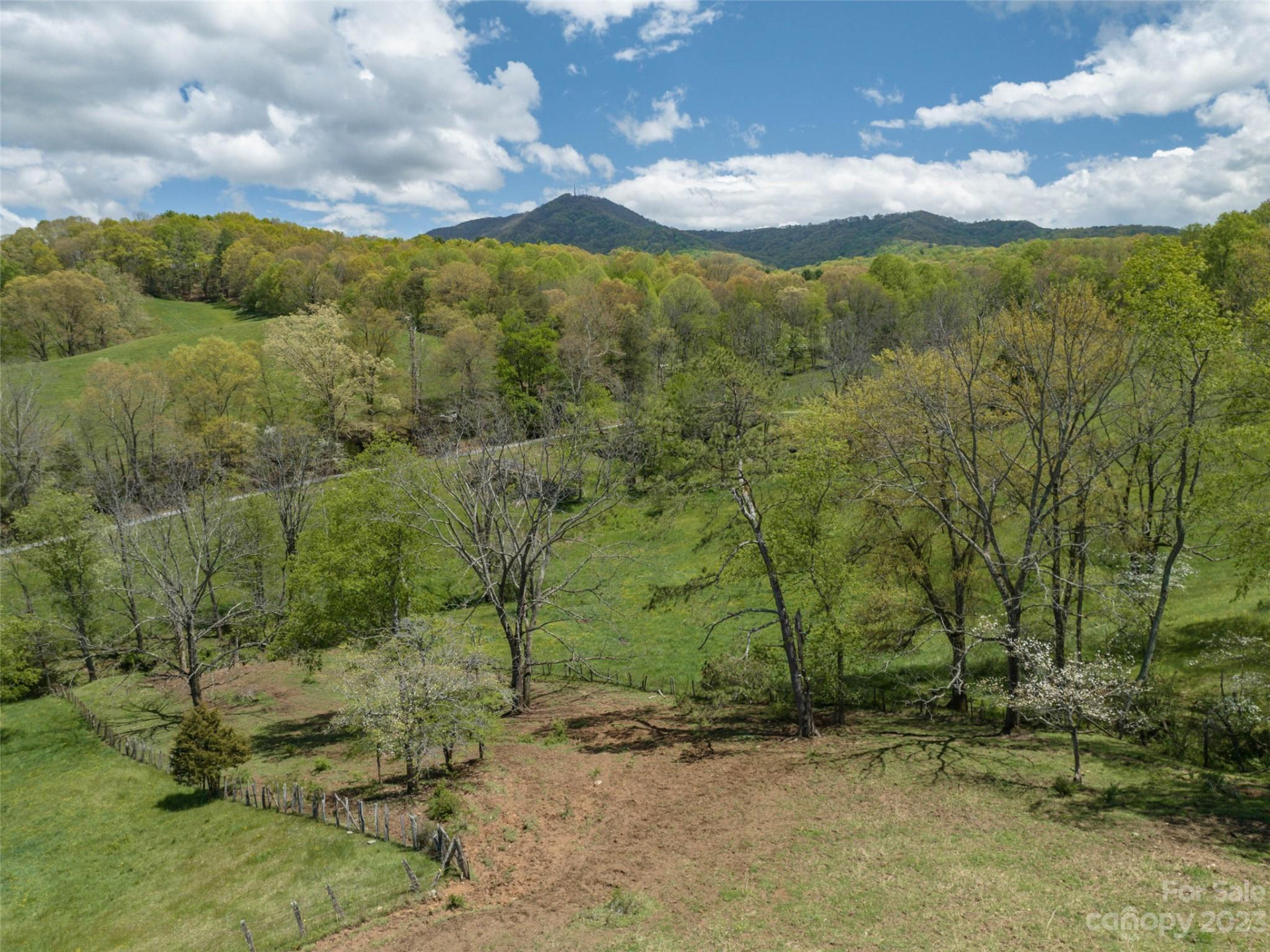 #4 Sunny Hill Lane - Photo 13