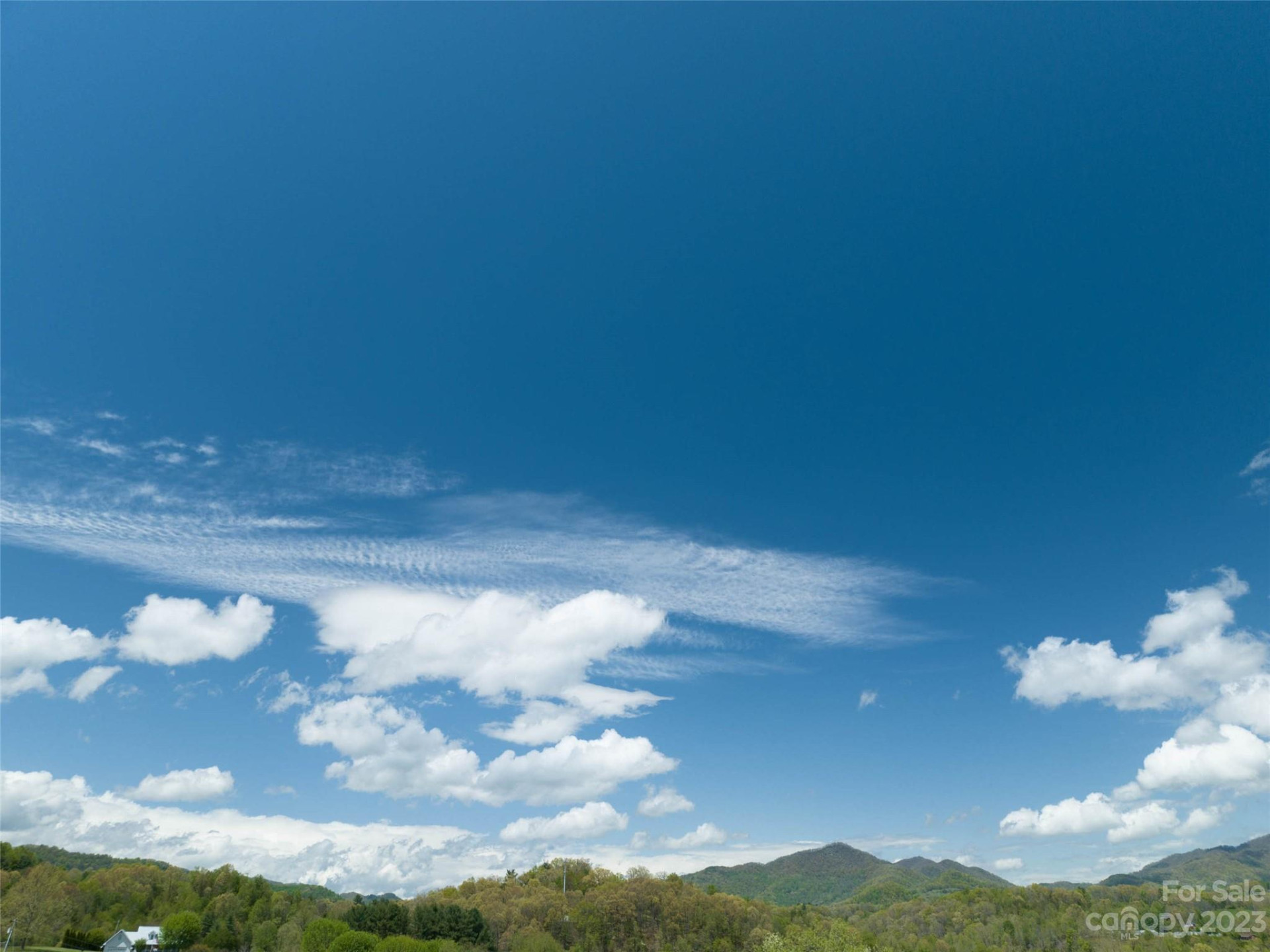 #4 Sunny Hill Lane - Photo 16