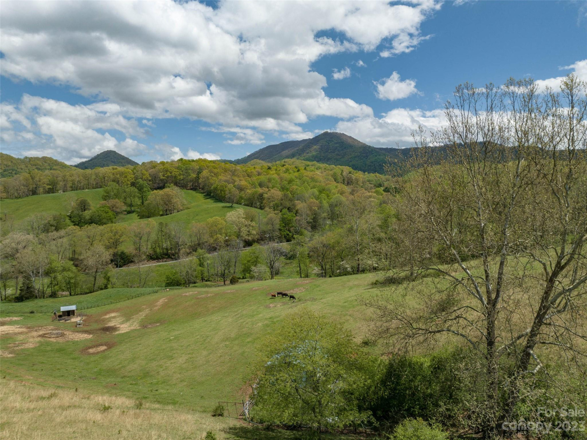 #4 Sunny Hill Lane - Photo 6