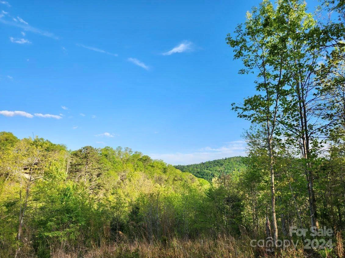 391 Red Fox Trail #16