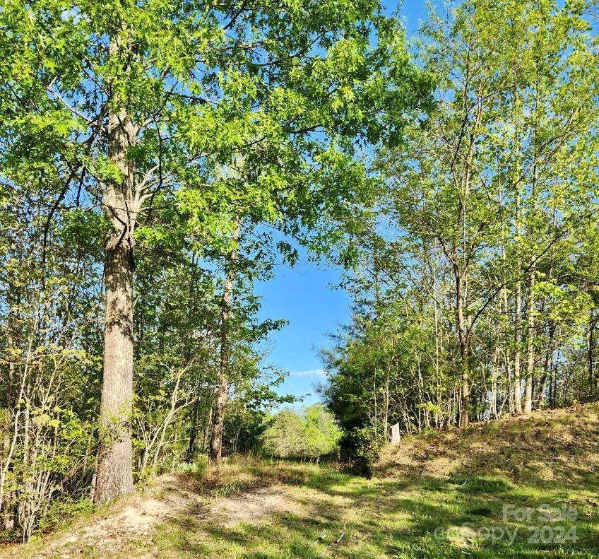 391 Red Fox Trail #16 - Photo 2