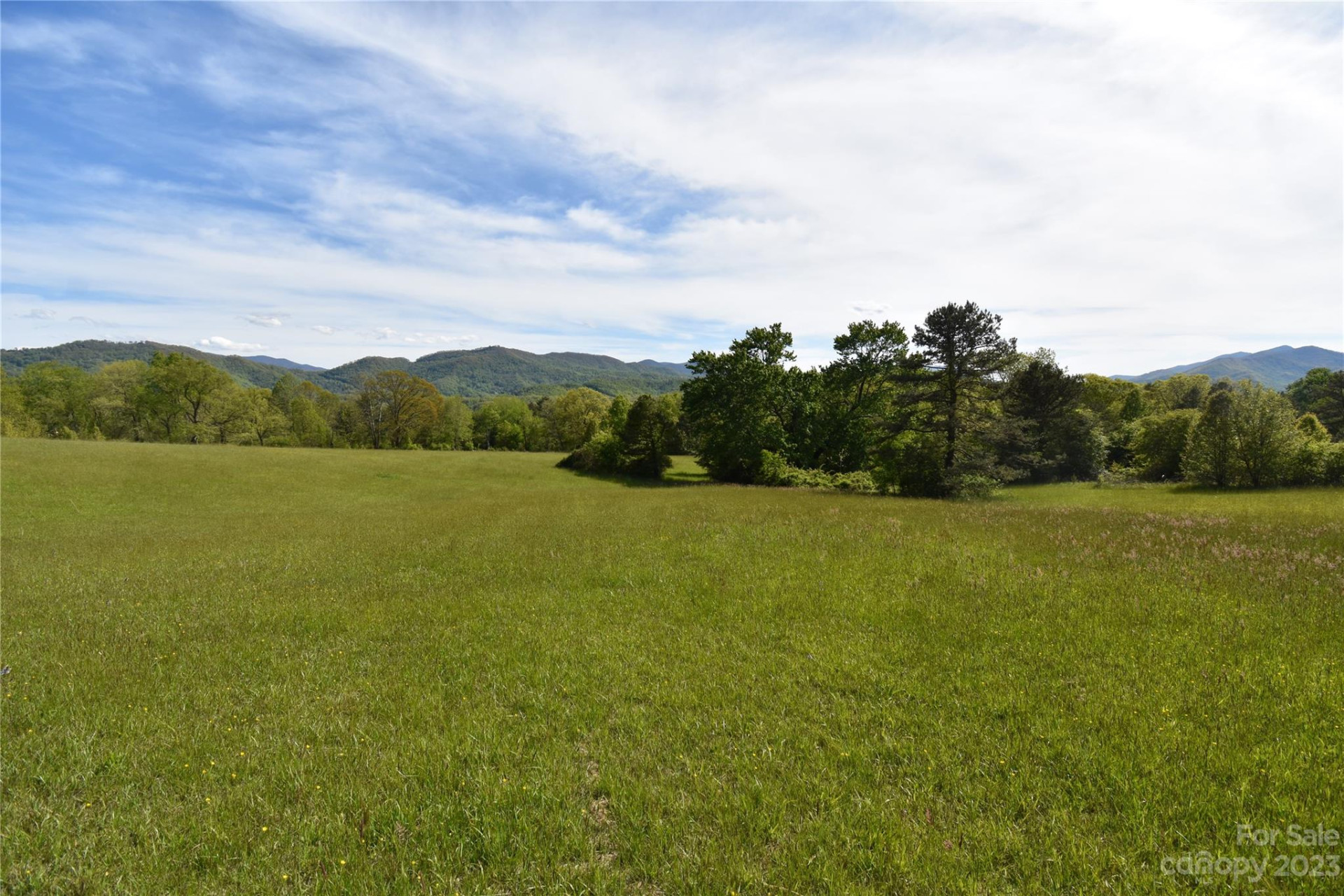 Land Off Ransom Road - Photo 2