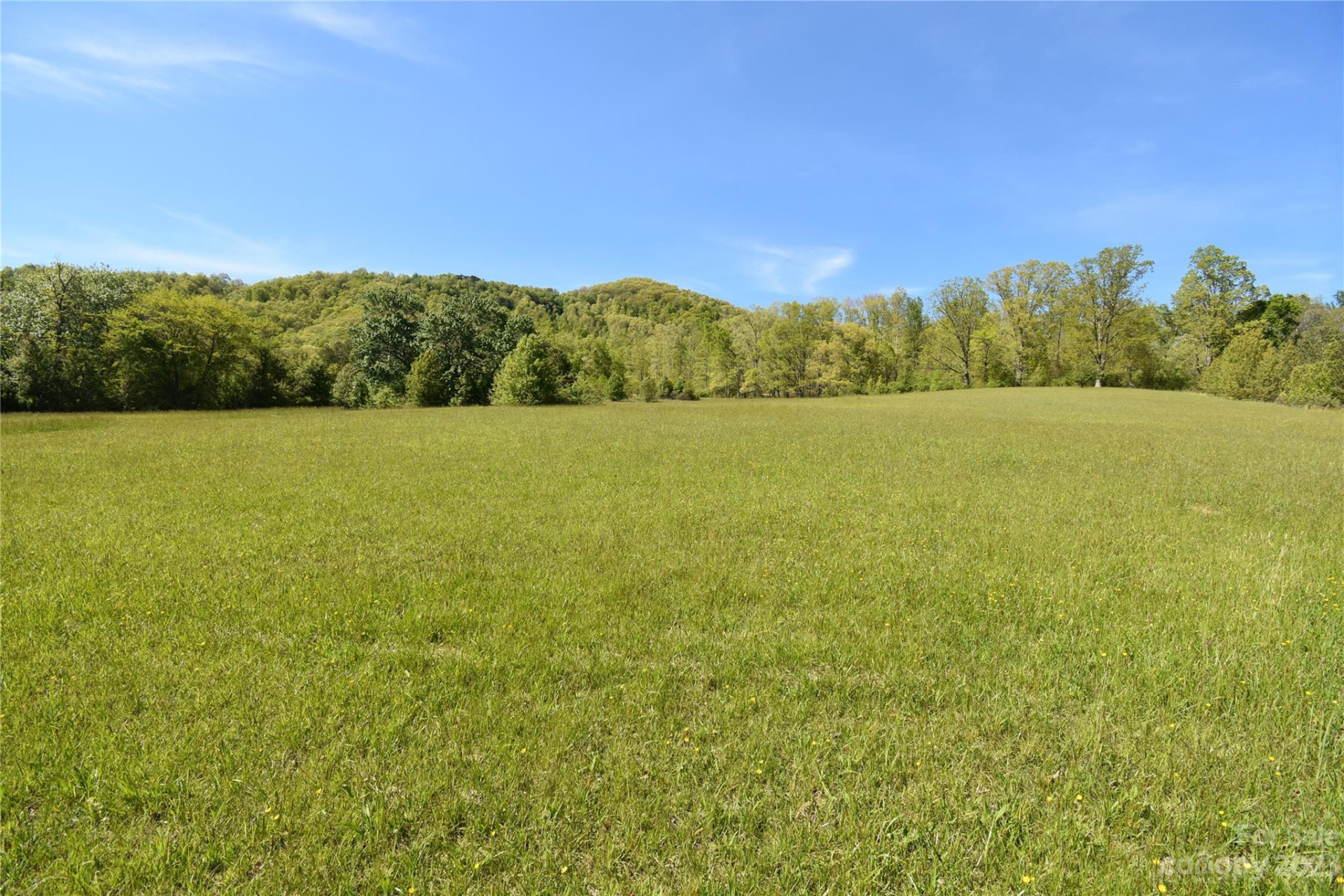 Land Off Ransom Road - Photo 17
