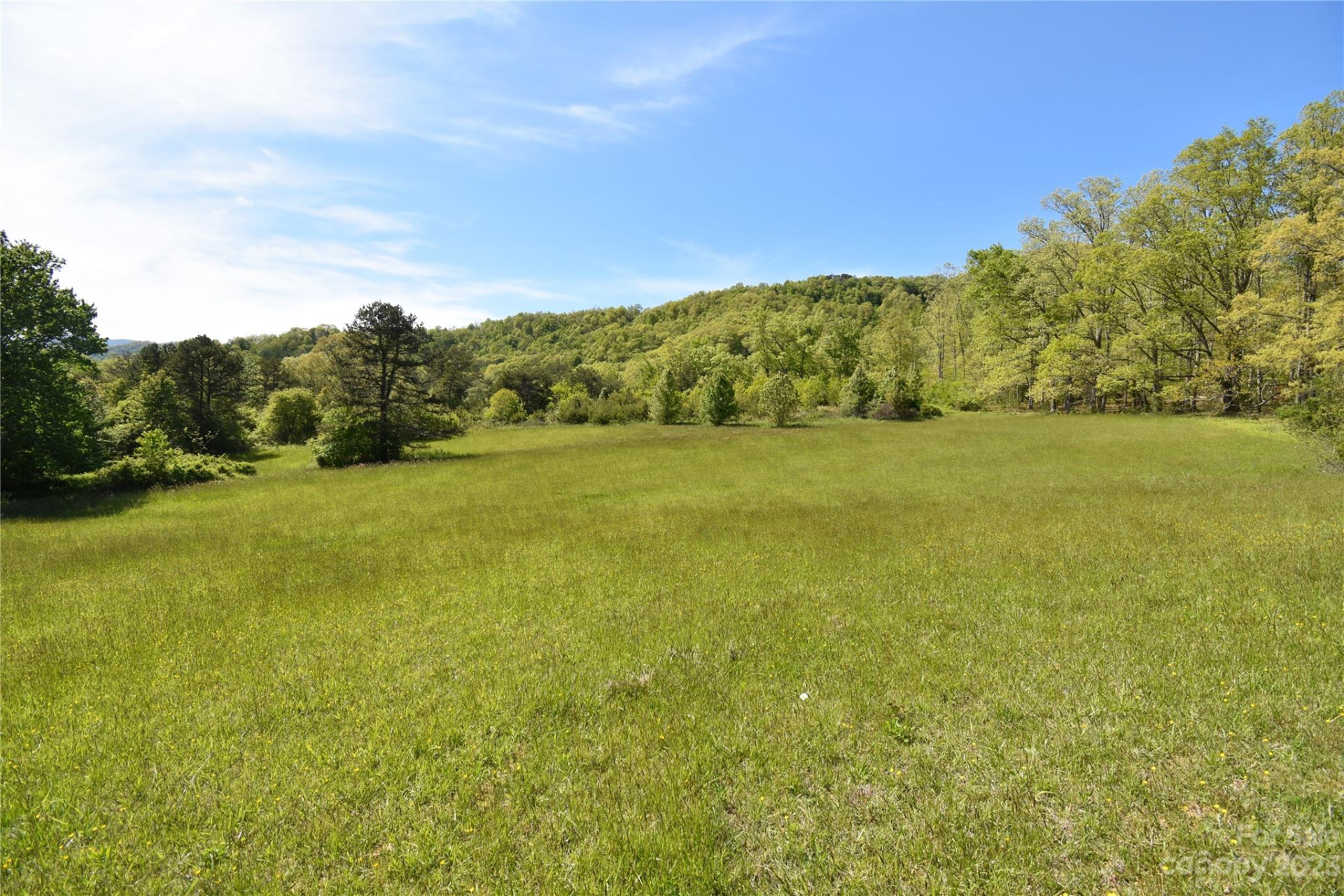Land Off Ransom Road - Photo 21