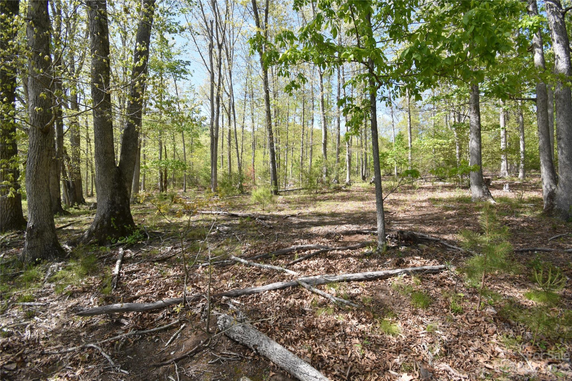 Land Off Ransom Road - Photo 24