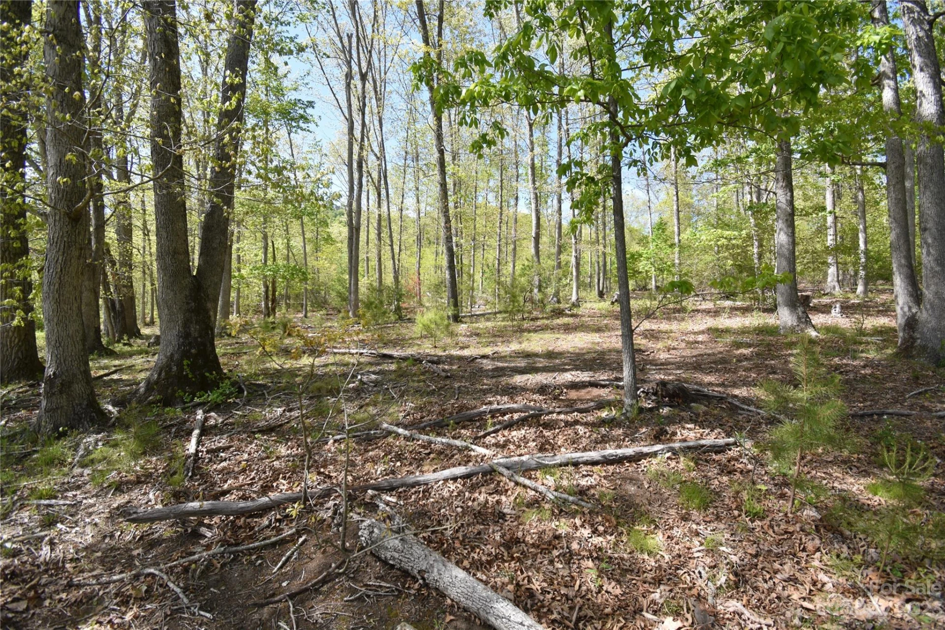 Land Off Ransom Road - Photo 24