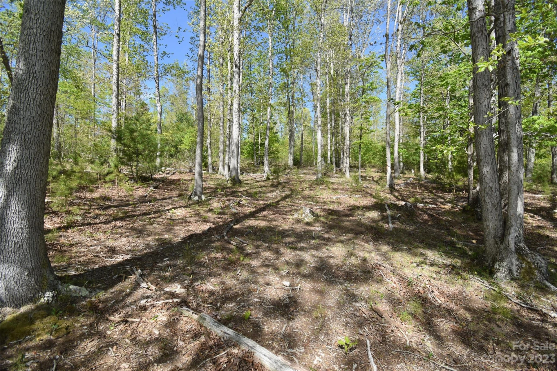 Land Off Ransom Road - Photo 25