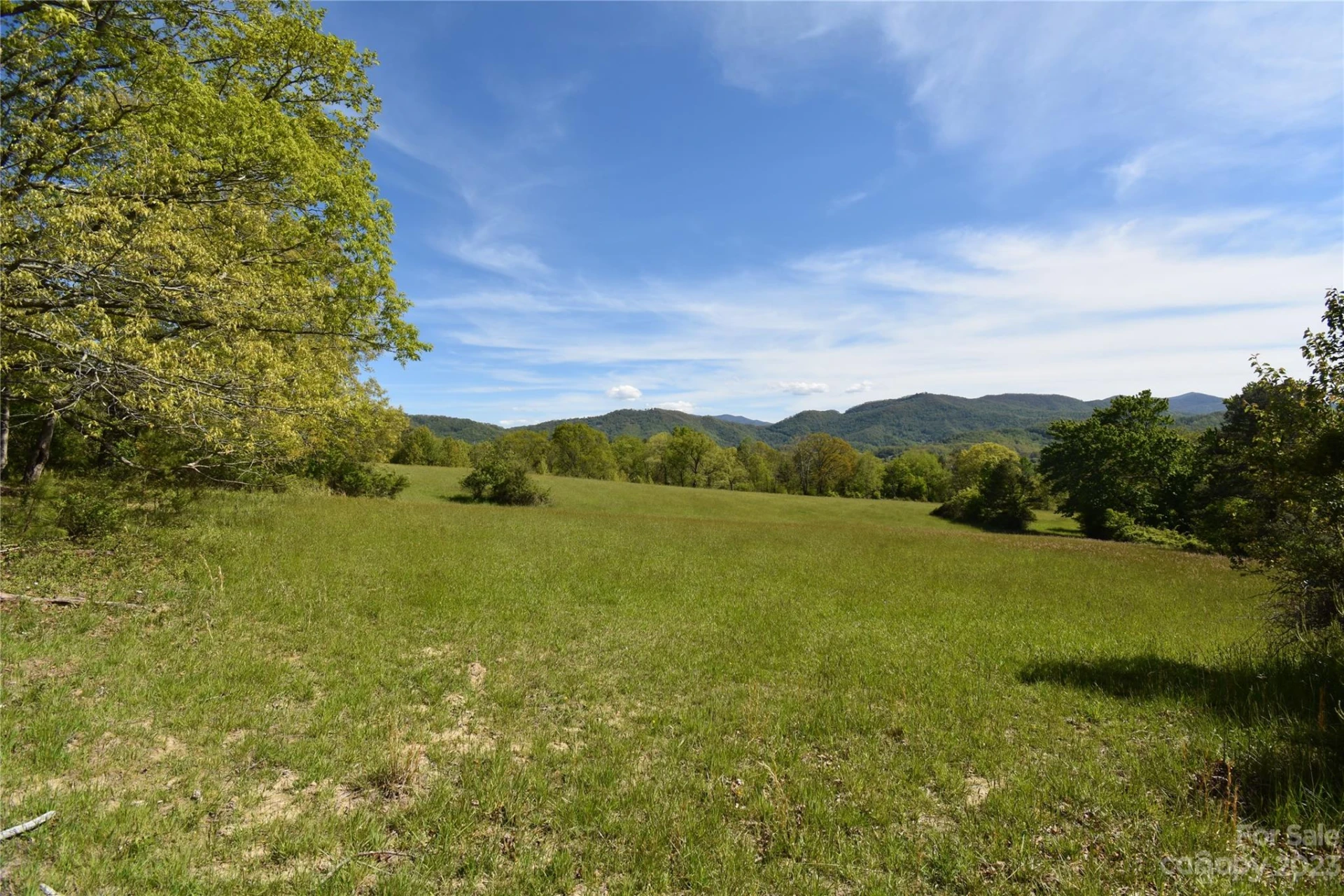Land Off Ransom Road - Photo 26