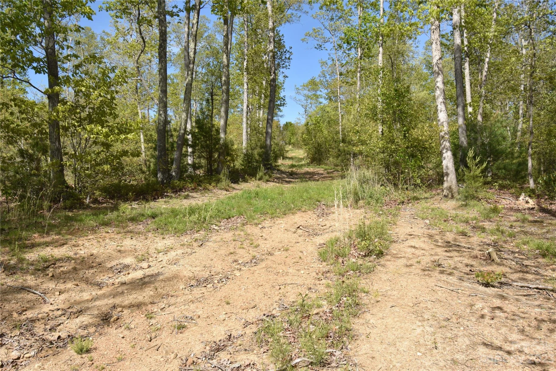 Land Off Ransom Road - Photo 27