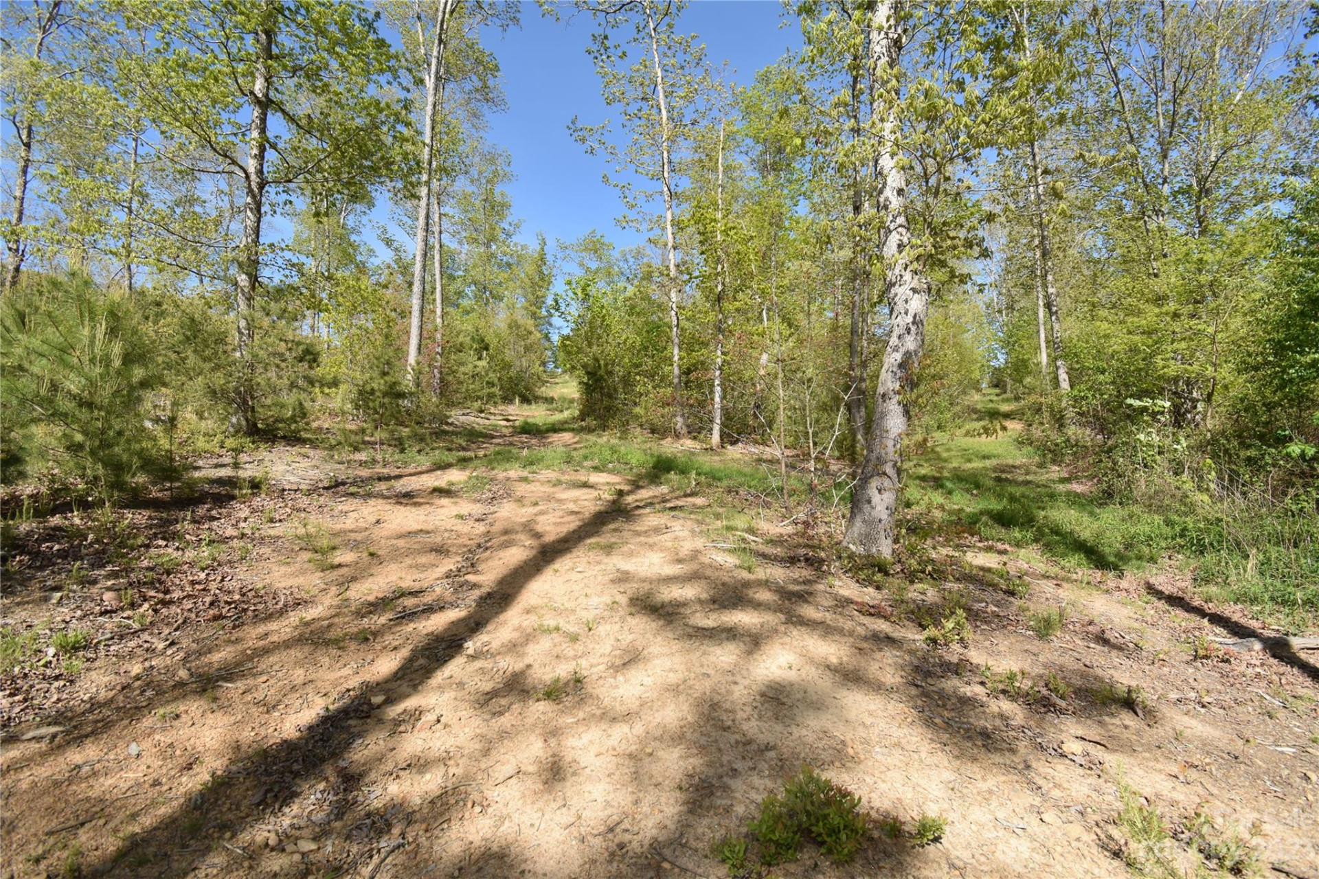 Land Off Ransom Road - Photo 28