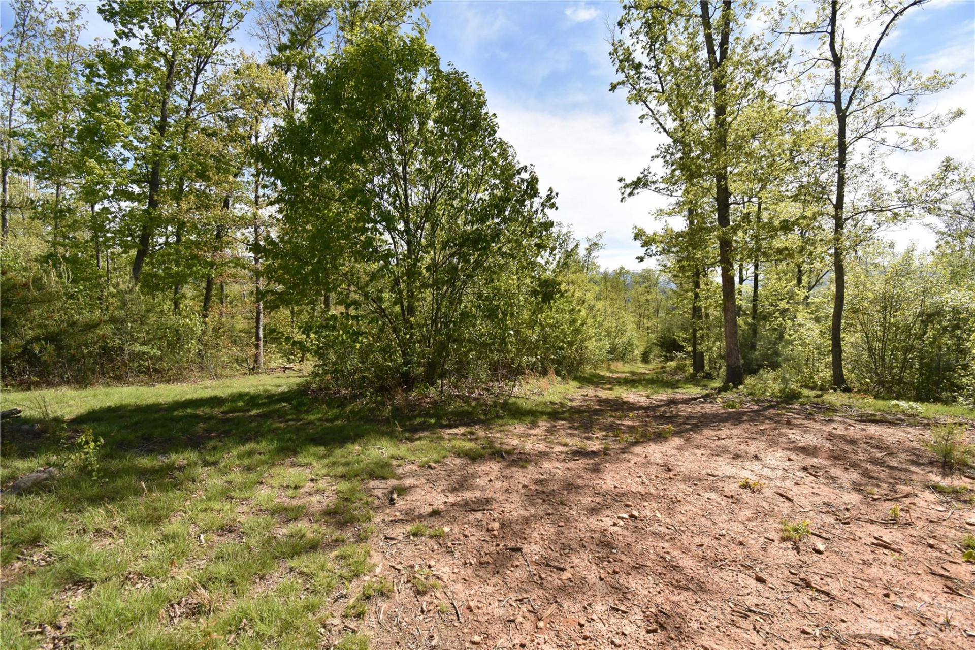 Land Off Ransom Road - Photo 29