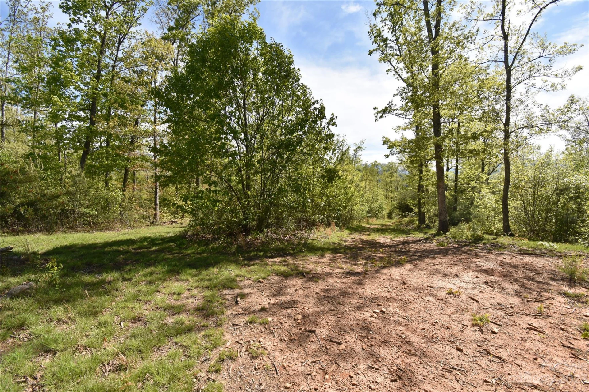 Land Off Ransom Road - Photo 29