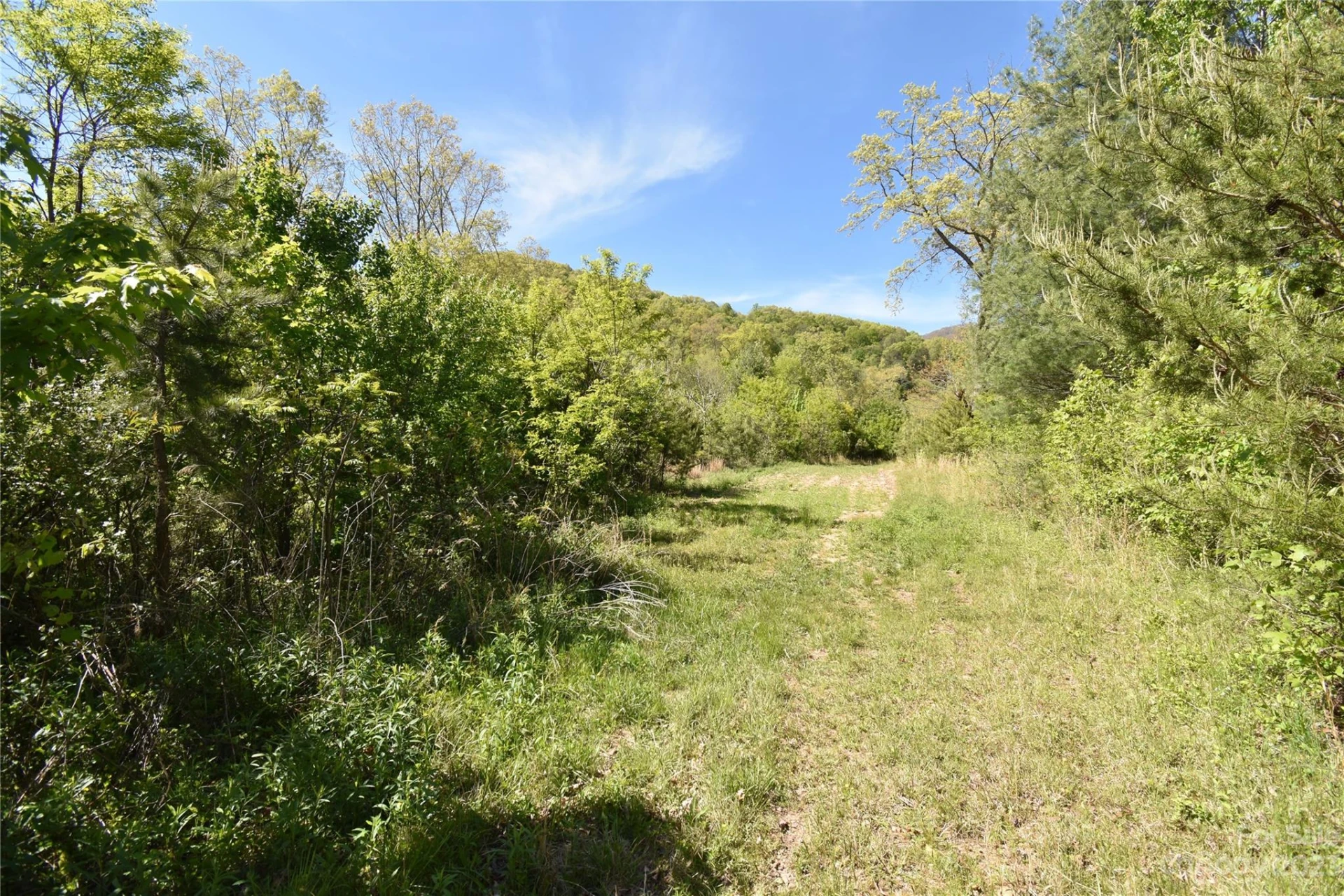 Land Off Ransom Road - Photo 30