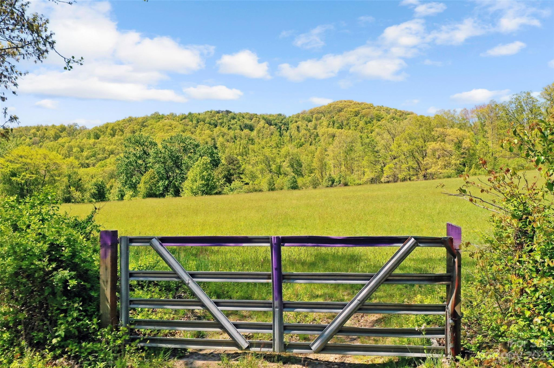 Land Off Ransom Road - Photo 4