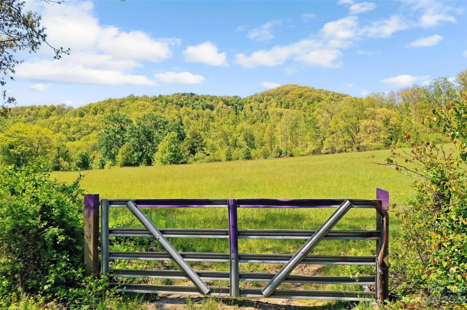 Land Off Ransom Road - Photo 4