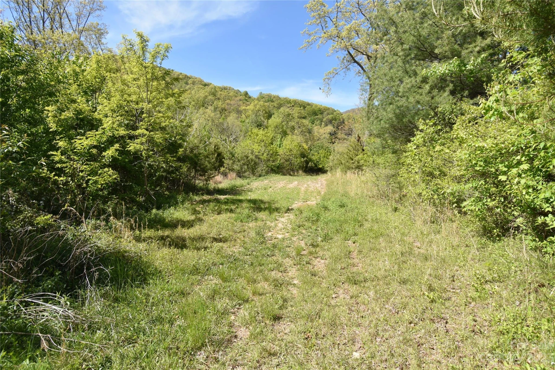 Land Off Ransom Road - Photo 31