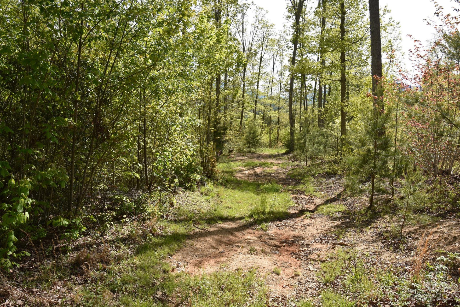 Land Off Ransom Road - Photo 33
