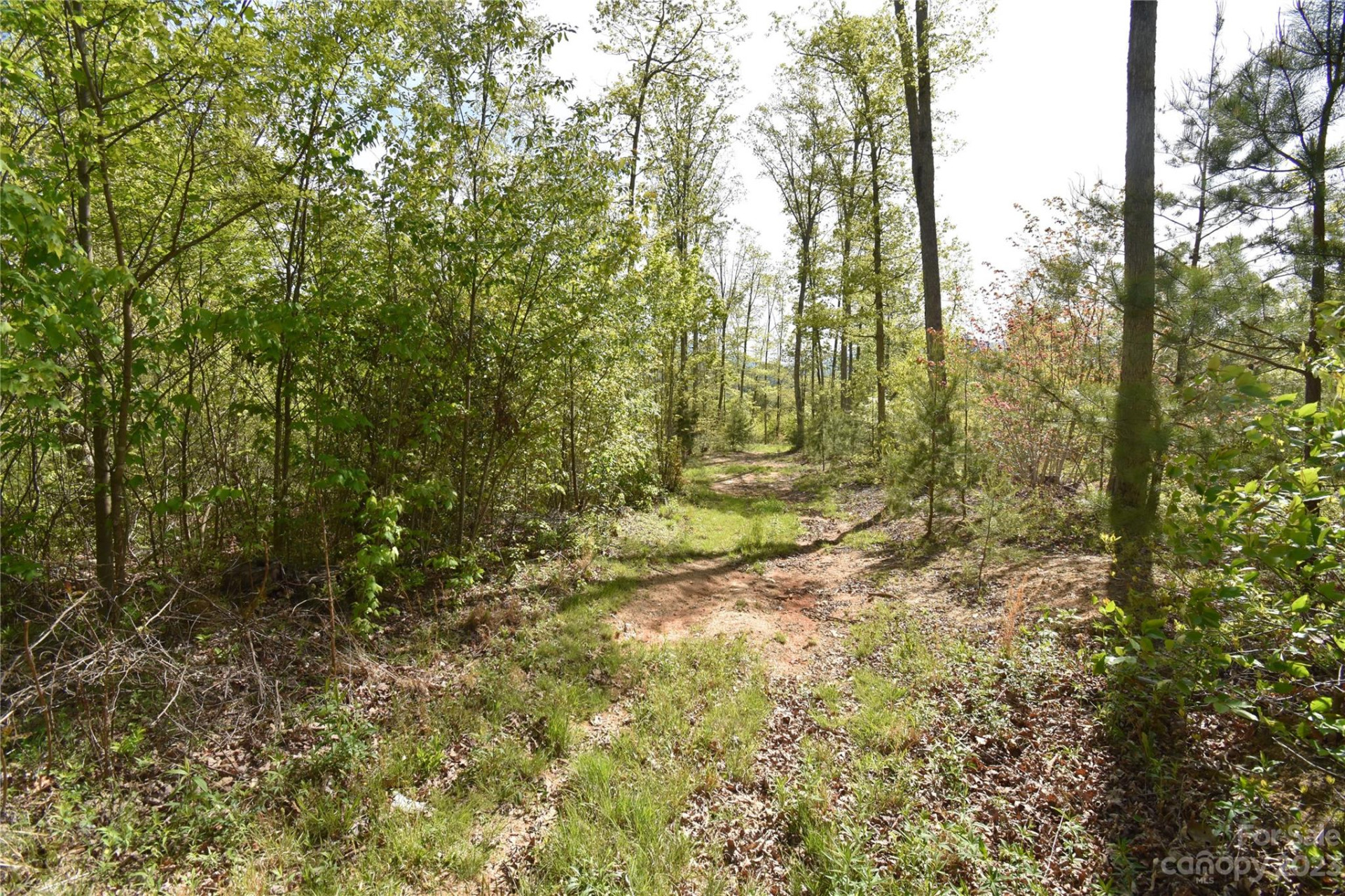 Land Off Ransom Road - Photo 34